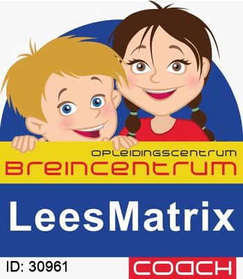 Certificaat LeesMatrix - Wendy Overeinder-Sulter, Breincentrum & RMTi
