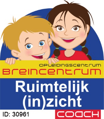 Certificaat Ruimtelijk (in)zicht - Wendy Overeinder-Sulter, Breincentrum & RMTi